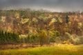 Mountain forest on the mountainside on a foggy evening. Royalty Free Stock Photo