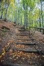 Carpathians forest. Mountains panorama background. Royalty Free Stock Photo