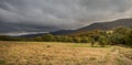 Carpathians forest. Mountains panorama background. Royalty Free Stock Photo