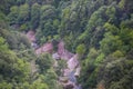 Mountain forest near village Ripit i Pruit, Catalonia