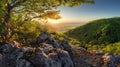 Mountain forest panorama at sunset - Slovakia Royalty Free Stock Photo