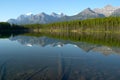 Mountain and forest Reflection in Mirror crystalline Lake Royalty Free Stock Photo