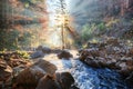 Mountain forest river with sun rays Royalty Free Stock Photo