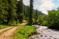 Fabulous view of the mountains, amazing nature, summer in the mountains.