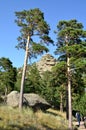 In the mountain forest, State National Natural Park