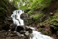 Mountain forest waterfall and creek in the spring Royalty Free Stock Photo