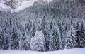 the mountain and forests covered by heavy snow Royalty Free Stock Photo