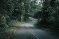 Mountain forests, roads with dense pine forests in the mountains Royalty Free Stock Photo