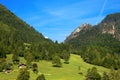 Mountain Forests - Valbruna Tarvisio Italy