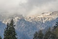 Mountain forests with yellow and green trees, hills covered Royalty Free Stock Photo