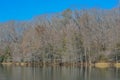 Mountain Fork River winding through Beavers Bend State Park in Broken Bow, Oklahoma