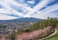 Mountain Fuji cherry blossom Japan spring season Landscape Royalty Free Stock Photo