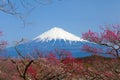 Mountain Fuji Royalty Free Stock Photo