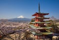 Mountain Fuji and Chureito red pagoda with cherry blossom sakura Royalty Free Stock Photo