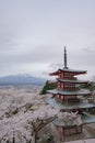 Mountain Fuji and Chureito red pagoda with cherry blossom sakura, kawaguchiko, Japan Royalty Free Stock Photo