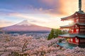 Mountain Fuji and Chureito red pagoda with cherry blossom sakura Royalty Free Stock Photo