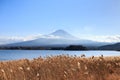Mountain Fuji fujisan from Kawaguchigo lake with field in foregr Royalty Free Stock Photo