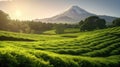 Mountain Fuji. Green tea plantation near Mount Fuji, Shizuoka Prefecture,Japan. Generetive Ai Royalty Free Stock Photo