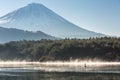 Mountain Fuji Lake saiko Royalty Free Stock Photo