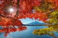 Mt. fuji with red maple in Autumn, Kawaguchiko Lake, Japan Royalty Free Stock Photo