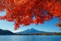 Mt. fuji with red maple in Autumn, Kawaguchiko Lake, Japan Royalty Free Stock Photo