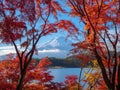 Mountain fuji with red maple in Autumn, Kawaguchiko Lake, Japan Royalty Free Stock Photo