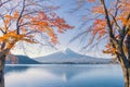 Mountain Fuji with red maple leaves or fall foliage in colorful autumn season near Fujikawaguchiko, Yamanashi. Five lakes. Trees Royalty Free Stock Photo