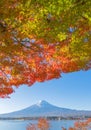 Mountain Fuji with red maple leaves or fall foliage in colorful autumn season near Fujikawaguchiko, Yamanashi. Five lakes. Trees Royalty Free Stock Photo