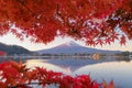 Mountain Fuji with red maple leaves or fall foliage in colorful autumn season near Fujikawaguchiko, Yamanashi. Five lakes. Trees Royalty Free Stock Photo