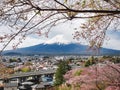 Mountain Fuji Sakura cherry blossom city view Japan spring season Royalty Free Stock Photo