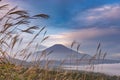 Mountain Fuji without snow cover its peak from a viewpoint around Wanakako lake in a morning with brown grass in foreground and mi Royalty Free Stock Photo