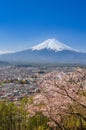 Mountain Fuji in spring