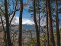 Mountain Fuji view from forest Sakura tree cherry blossom Japan spring season Royalty Free Stock Photo