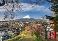 Mountain Fuji view from temple Sakura cherry blossom Japan spring season Royalty Free Stock Photo