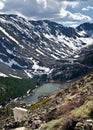 Mountain goat in Colorado Rockies Royalty Free Stock Photo