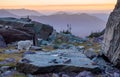 Mountain Goat in Alpine Meadow at Sunset - Glacier National Park Royalty Free Stock Photo