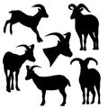 Mountain goat black and white vector silhouette set