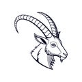 Mountain goat head logo vector illustration Royalty Free Stock Photo