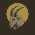 Mountain Goat head vector illustration Royalty Free Stock Photo