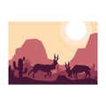 Mountain goat markhor animal silhouette desert savanna landscape design vector illustration