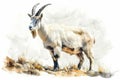 Mountain goat,  Pastel-colored, in hand-drawn style, watercolor, isolated on white background Royalty Free Stock Photo