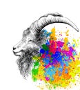 Mountain goat, ram, ibex, stag, aries head portrait. Vector illustration Royalty Free Stock Photo