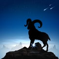 Mountain goat Royalty Free Stock Photo