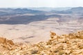 Mountain goat sitting cliff stone edge Ramon crater, Israel