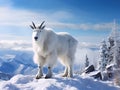 Mountain Goat standing on edge of mountain Royalty Free Stock Photo