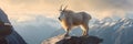 A mountain goat standing on top of a rock. Generative AI image. Royalty Free Stock Photo