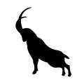 Mountain goat vector illustration black silhouette Royalty Free Stock Photo