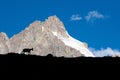 Mountain goat silhouette. Royalty Free Stock Photo
