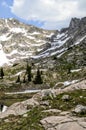 Mountain goat in Colorado Rockies Royalty Free Stock Photo