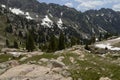 Mountain goat in Colorado Rockies Royalty Free Stock Photo